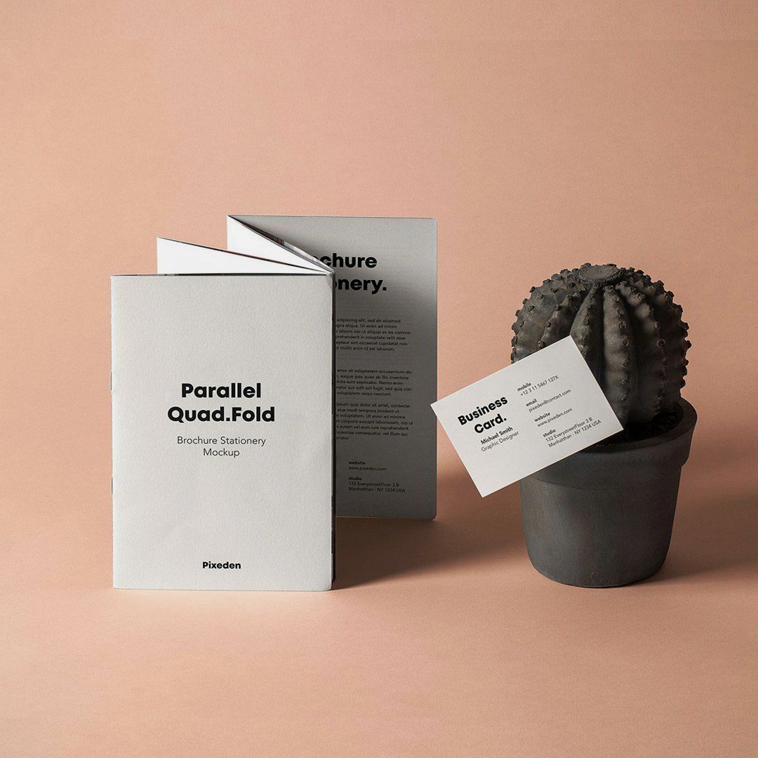 A folded brochure and a business card printed for a brand